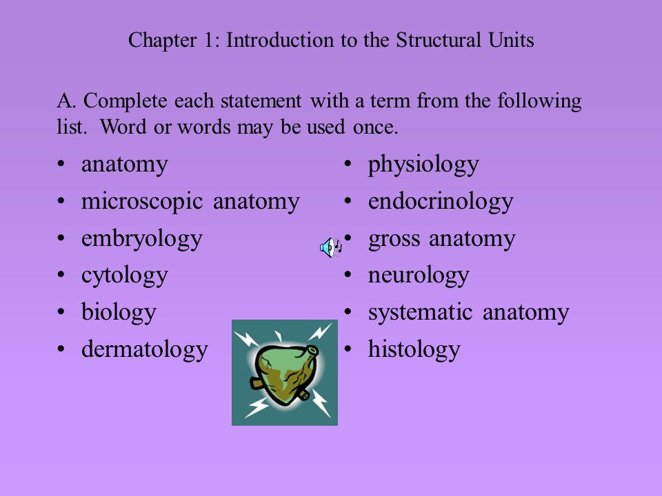 Chapter 1 introductionthe advent of the